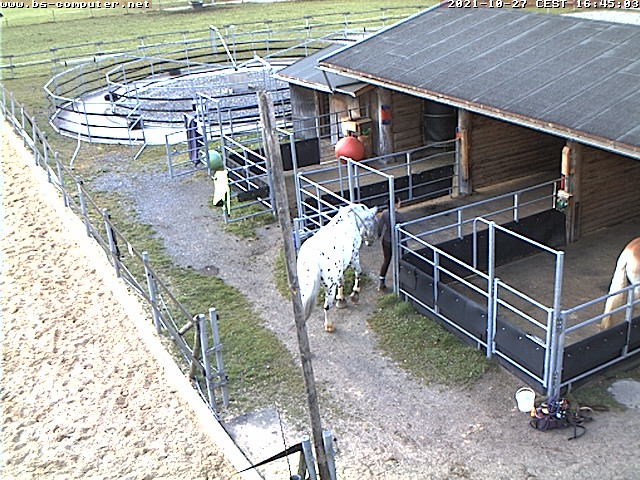 Webcam Oberstdorf - Tierheilpraxis der Homöopathie für Pferde & Hunde.Pferdereha & Pferdehotel, Fewo